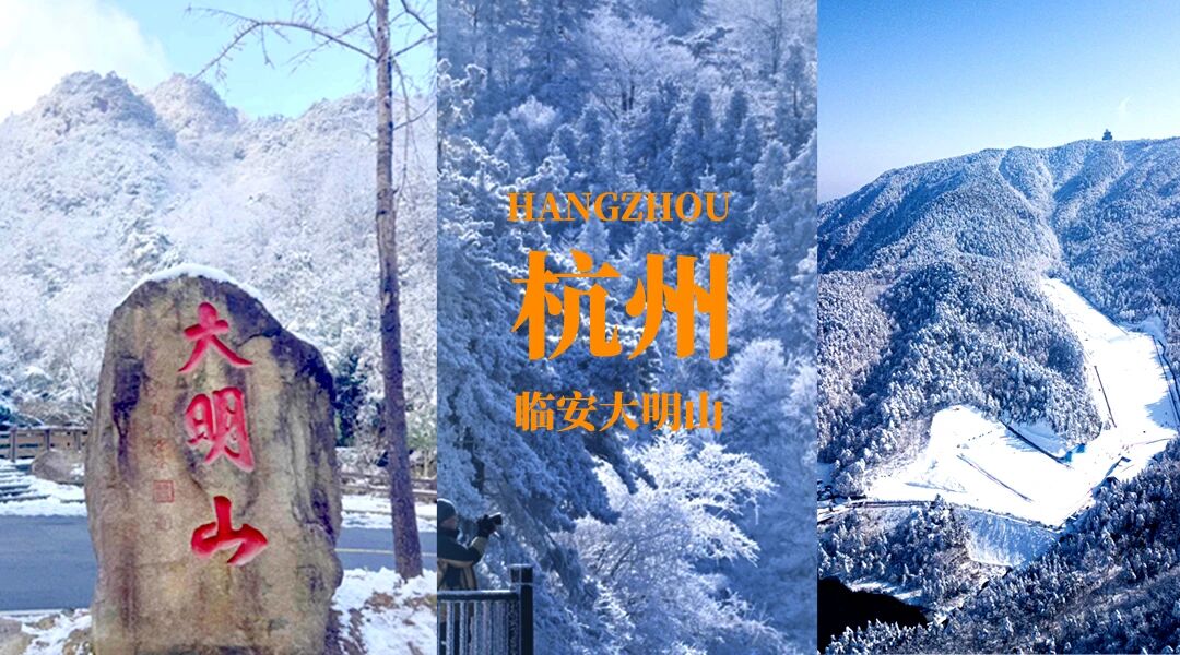 1769048529391201.jpg 2.jpg